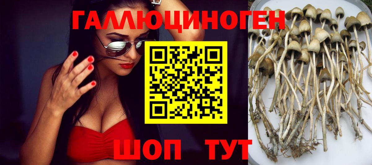 Галлюциногенные грибы Magic Shrooms Лесной